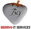 BERRY9 IT SERVICES PRIVATE LIMITED