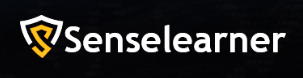 Senselearner Technologies Pvt Ltd